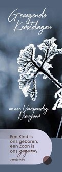 Boekenlegger 9161 kerst